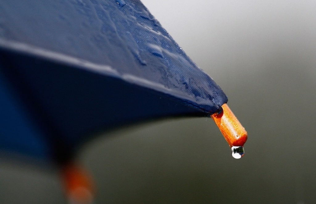 Sidewalk Ballet: Urban Tales in Rain or Shine